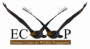 ECWP