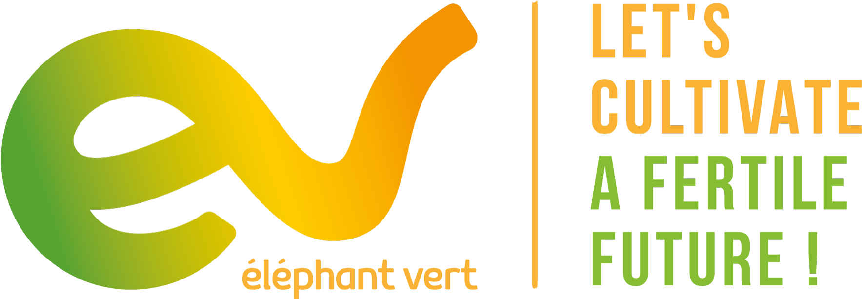 Elephant Vert Micro-Organisme
